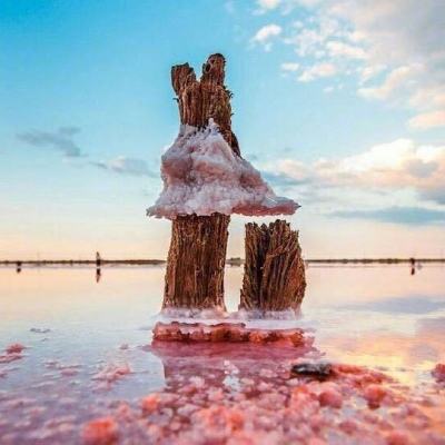 斗牛游戏大厅手机app下载