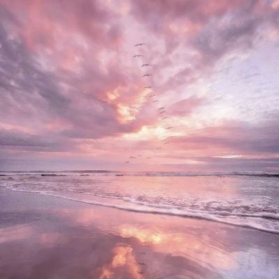 户员可以补办户口吗