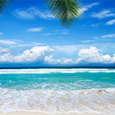 星空体育2024下载app下载