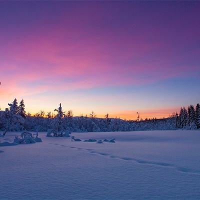 火博体育全站下载版