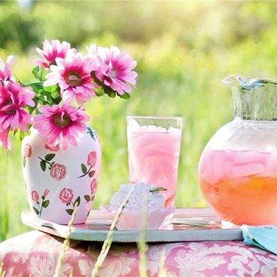 乐鱼游戏app在线登录app下载